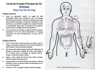 Canal de Energia Principal do Fei
(Pulmão)
Shou Tai Yin Fei Jing
Trajeto Interno:
1. Inicia no aquecedor médio, na região do Wei
(estômago). Desce para conectar-se com o Da Chang
(Intestino grosso); toma a direção ascendente passando
pela cárdia do estômago e atravessa o diafragma, onde
vai formar o envoltório energético do coração. Penetra
o Fei (pulmão). Segue para a traquéia até a garganta,
onde termina na região das tonsilas palatinas.
2. Um ramo desce em direção ao aspecto lateral do peito,
emergindo no P1 (na linha intramamilar, 1º espaço
intercostal, na fossa infraclavicular, na altura da 2º
costela);
Trajeto Externo
1. Do P1, desce para a parte anterior do ombro, braço e
chega ao cotovelo, formando o P5 (na fossa cubital, do
lado radial do músculo bíceps-braquial).
2. Daí, desce pelo aspecto antero-lateral do antebraço em
direção ao processo estilóide do rádio, alcançando o
P7, na fenda entre os tendões do abdutor pollicis
longus e músculos braquio-radiais;
3. Segue o sulco radial até P9 (do lado radial da dobra
anterior do pulso) onde penetra;
4. Emerge sobre os músculos tenares, formando o P10 (na
eminência tenar, no ponto médio do lado palmar do 1º
osso metarcapiano);
5. Termina no P11, no ângulo ungueal radial do polegar.
 
