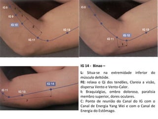 IG 14 - Binao –
L: Situa-se na extremidade inferior do
músculo deltóide.
FE: relaxa o Qi dos tendões, Clareia a visão,
dispersa Vento e Vento-Calor.
I: Braquialgias, ombro doloroso, paralisia
membro superior, dores oculares.
C: Ponto de reunião do Canal do IG com o
Canal de Energia Yang Wei e com o Canal de
Energia do Estômago.
 