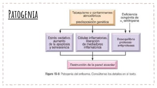 Patogenia
 