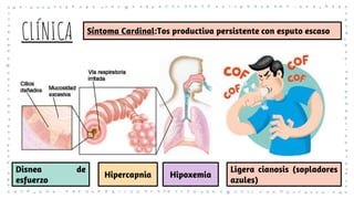 CLÍNICA Síntoma Cardinal:Tos productiva persistente con esputo escaso
Disnea de
esfuerzo
Hipercapnia Hipoxemia
Ligera cianosis (sopladores
azules)
 