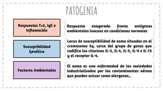 PATOGENIA
Respuestas TH2, IgE e
Inflamación
Susceptibilidad
Genética
Factores Ambientales
Respuesta exagerada frente antígenos
ambientales inocuos en condiciones normales
Locus de susceptibilidad de asma situados en el
cromosoma 5q, cerca del grupo de genes que
codifica las citocinas IL-3, IL-4, IL-5, IL-9 e IL-13
y el receptor IL-4.
El asma es una enfermedad de las sociedades
industrializadas por los contaminantes aéreos
que pueden actuar como alergenos,.
 