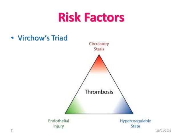 Pulmonary Embolism And Air Travel Risk Management Pulmonary Embolism And Air Travel Risk Management