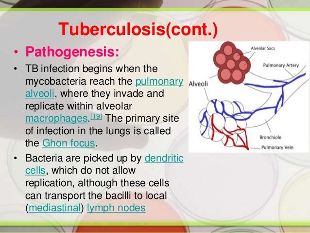Pulmonary Diseases 2009 copy