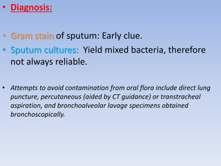 • Diagnosis:
• Gram stain of sputum: Early clue.
• Sputum cultures: Yield mixed bacteria, therefore
not always reliable.
• Attempts to avoid contamination from oral flora include direct lung
puncture, percutaneous (aided by CT guidance) or transtracheal
aspiration, and bronchoalveolar lavage specimens obtained
bronchoscopically.
 