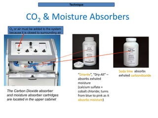 Pulmonary anat phys lung scint principles | PPTX