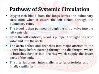 Pathway of Systemic Circulation
• Oxygen-rich blood from the lungs leaves the pulmonary
circulation when it enters the left atrium through the
pulmonary veins.
• The blood is then pumped through the mitral valve into the
left ventricle.
• From the left ventricle, blood is pumped through the aortic
valve and into the aorta.
• The aorta arches and branches into major arteries to the
upper body before passing through the diaphragm, where
it branches further into arteries which supply the lower
parts of the body.
• The arteries branch into smaller arteries, arterioles, and
finally capillaries
 