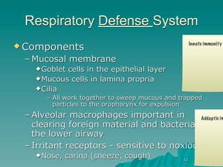 Respiratory Defense System
 Components                                         Innate immunity


 – Mucosal membrane
     Gobletcells in the epithelial layer
     Mucous cells in lamina propria
     Cilia
       – All work together to sweep mucous and trapped
         particles to the oropharynx for expulsion
 – Alveolar macrophages important in        Addaptie im
   clearing foreign material and bacteria
   the lower airway
 – Irritant receptors - sensitive to noxious
     Nose,   carina (sneeze, cough)            12
 