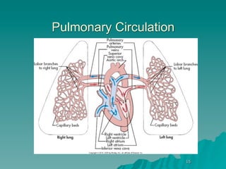 Pulmonary Circulation




                        15
 