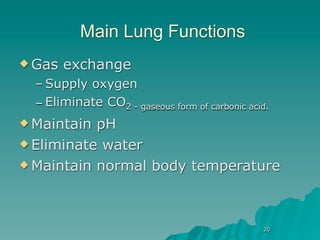 Main Lung Functions
 Gas   exchange
  – Supply oxygen
  – Eliminate CO2 - gaseous form of carbonic acid.
 Maintain pH
 Eliminate water

 Maintain normal body temperature




                                                20
 