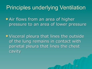 Principles underlying Ventilation
 Air
    flows from an area of higher
 pressure to an area of lower pressure

 Visceralpleura that lines the outside
 of the lung remains in contact with
 parietal pleura that lines the chest
 cavity


                                  24
 