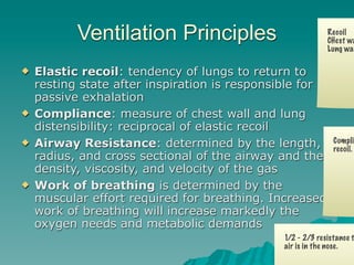 Ventilation Principles                          Recoil
                                                           CHest wa
                                                           Lung wan

   Elastic recoil: tendency of lungs to return to
    resting state after inspiration is responsible for
    passive exhalation
   Compliance: measure of chest wall and lung
    distensibility: reciprocal of elastic recoil
   Airway Resistance: determined by the length,             Compli
                                                             recoil.
    radius, and cross sectional of the airway and the
    density, viscosity, and velocity of the gas
   Work of breathing is determined by the
    muscular effort required for breathing. Increased
    work of breathing will increase markedly the
    oxygen needs and metabolic demands
                                              1/2 - 2/3 resistance t
                                              air is in the nose.
                                                26
 