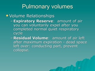 Pulmonary volumes
 Volume   Relationships
 – Expiratory Reserve: amount of air
   you can voluntarily expel after you
   completed normal quiet respiratory
   cycle
 – Residual Volume: amount of air left
   after maximum expiration - dead space
   left over: conducting part, prevent
   collapse.



                                   28
 