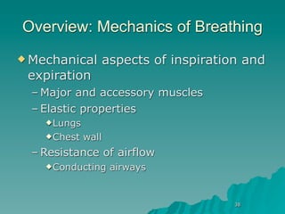 Overview: Mechanics of Breathing
 Mechanical         aspects of inspiration and
 expiration
  – Major and accessory muscles
  – Elastic properties
     Lungs

     Chest   wall
  – Resistance of airflow
     Conducting      airways


                                          38
 
