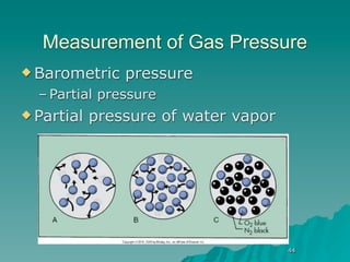 Measurement of Gas Pressure
 Barometric    pressure
  – Partial pressure
 Partial   pressure of water vapor




                                      44
 