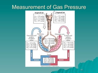 Measurement of Gas Pressure




                         45
 