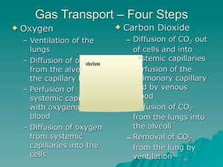Gas Transport – Four Steps
   Oxygen                          Carbon Dioxide
    – Ventilation of the             – Diffusion of CO2 out
      lungs                            of cells and into
    – Diffusion of oxygen              systemic capillaries
                       obviuse
      from the alveoli into          – Perfusion of the
      the capillary blood              pulmonary capillary
    – Perfusion of                     bed by venous
      systemic capillaries             blood
      with oxygenated                – Diffusion of CO2
      blood                            from the lungs into
    – Diffusion of oxygen              the alveoli
      from systemic                  – Removal of CO2
      capillaries into the             from the lung by
      cells                            ventilation    46
 