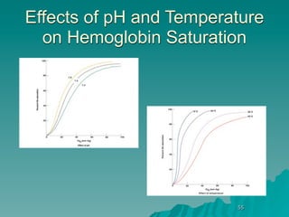 Effects of pH and Temperature
  on Hemoglobin Saturation




                         55
 