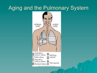 Aging and the Pulmonary System




                          59
 