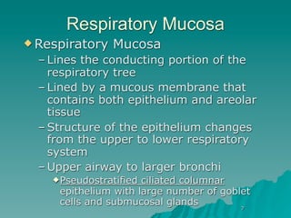 Respiratory Mucosa
 Respiratory   Mucosa
  – Lines the conducting portion of the
    respiratory tree
  – Lined by a mucous membrane that
    contains both epithelium and areolar
    tissue
  – Structure of the epithelium changes
    from the upper to lower respiratory
    system
  – Upper airway to larger bronchi
     Pseudostratifiedciliated columnar
     epithelium with large number of goblet
     cells and submucosal glands
                                         7
 