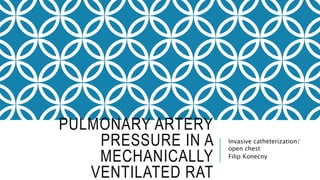 PULMONARY ARTERY
PRESSURE IN A
MECHANICALLY
VENTILATED RAT
Invasive catheterization/
open chest
Filip Konecny
 