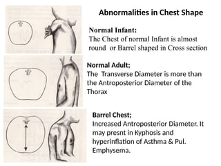 pulmonary assesment dpt 9 semester Major component | PPTX