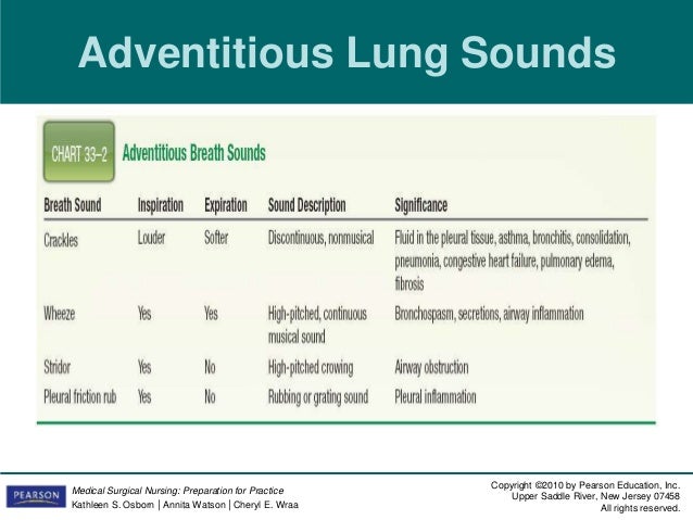 Adventitious Lung Sounds Chart