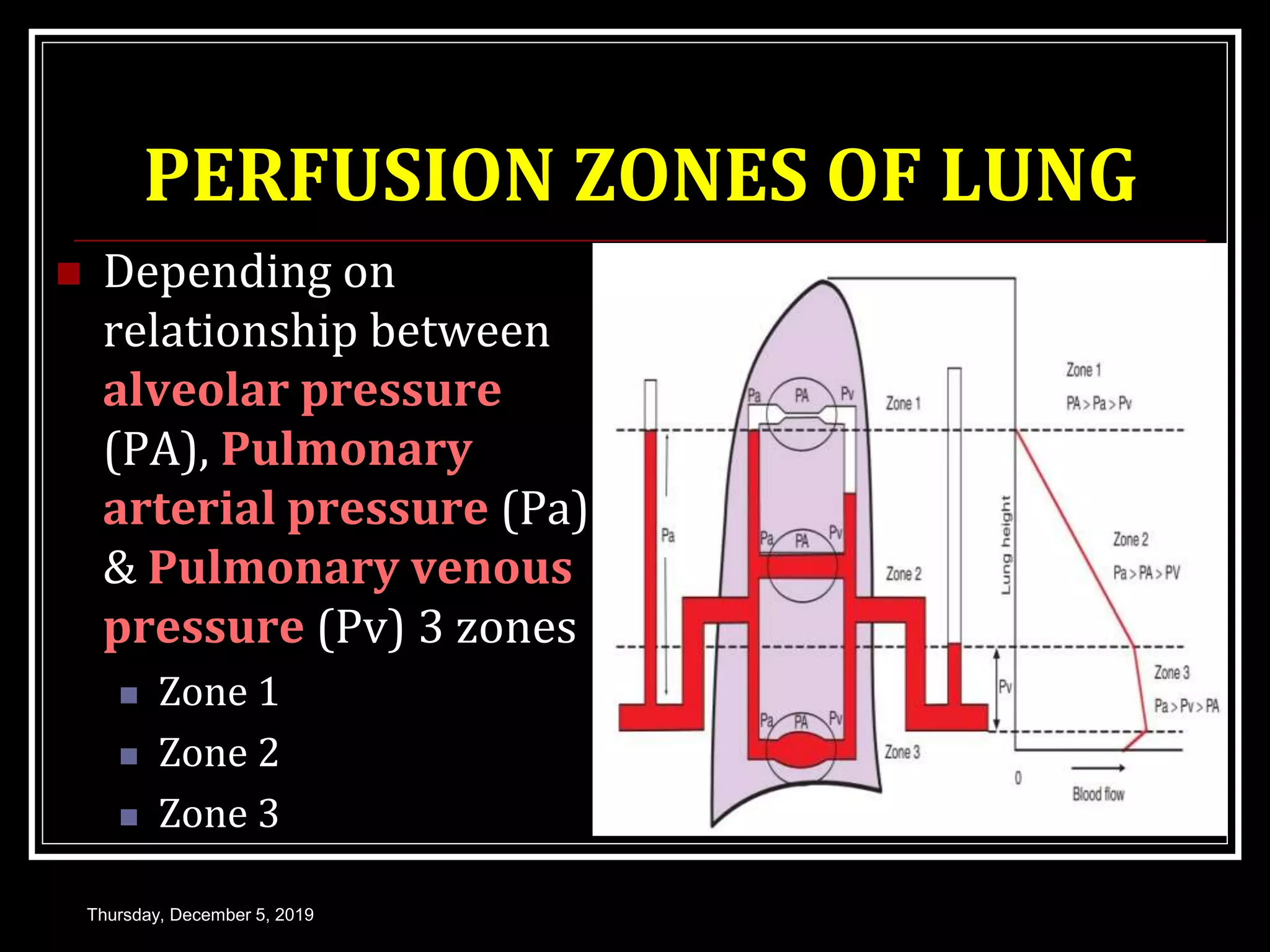 PERFUSION ZONES OF LUNG
 Depending on
relationship between
alveolar pressure
(PA), Pulmonary
arterial pressure (Pa)
& Pulmonary venous
pressure (Pv) 3 zones
 Zone 1
 Zone 2
 Zone 3
Thursday, December 5, 2019
 