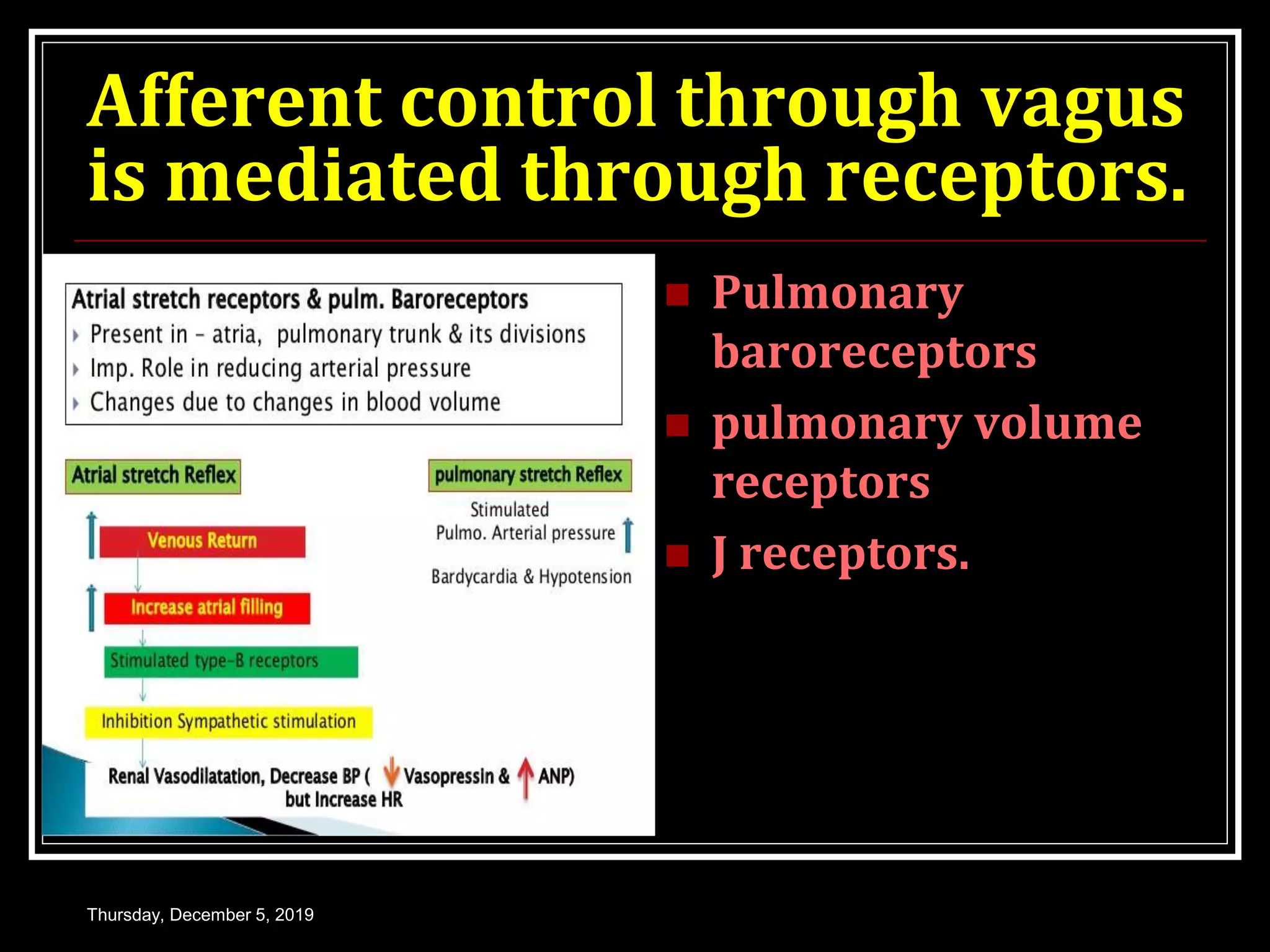Afferent control through vagus
is mediated through receptors.
 Pulmonary
baroreceptors
 pulmonary volume
receptors
 J receptors.
Thursday, December 5, 2019
 