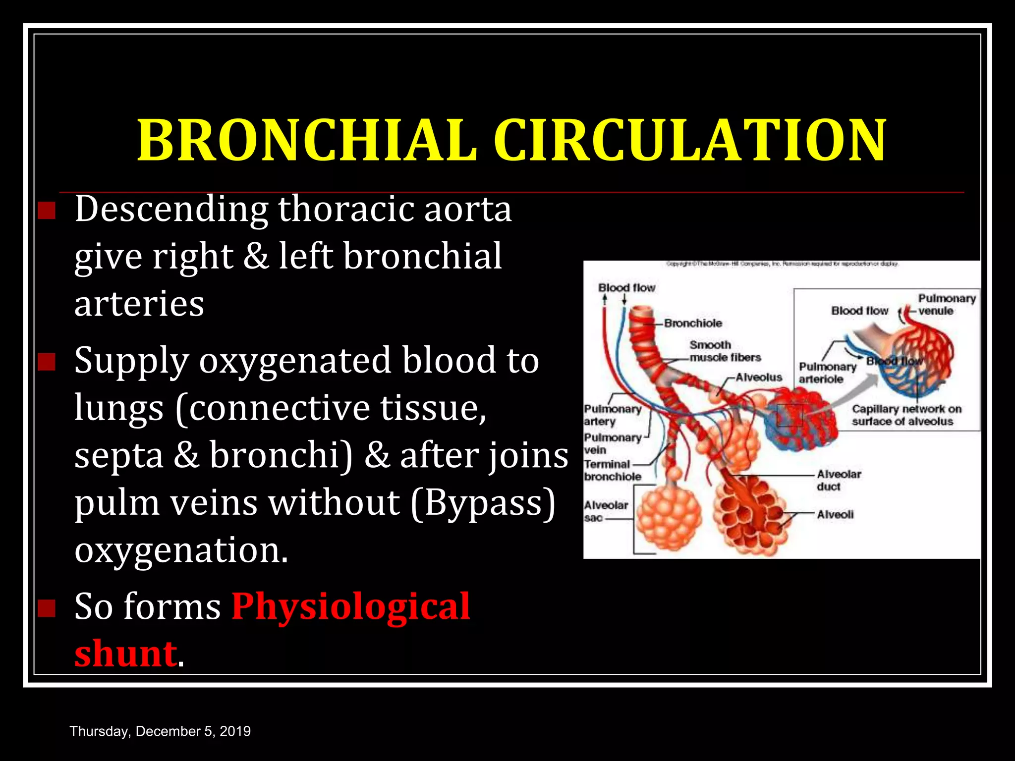 BRONCHIAL CIRCULATION
 Descending thoracic aorta
give right & left bronchial
arteries
 Supply oxygenated blood to
lungs (connective tissue,
septa & bronchi) & after joins
pulm veins without (Bypass)
oxygenation.
 So forms Physiological
shunt.
Thursday, December 5, 2019
 