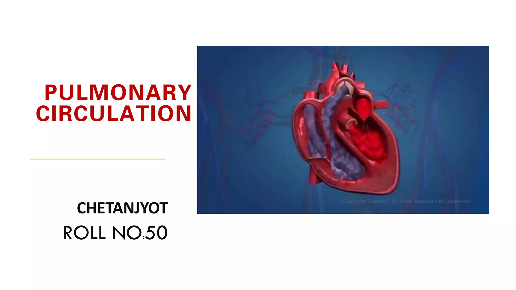 Pulmonary circulation.pdf
