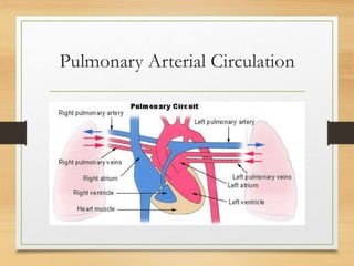 Pulmonary Arterial Circulation
 