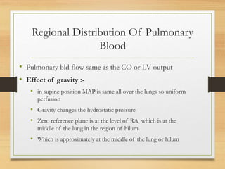 Regional Distribution Of Pulmonary
Blood
• Pulmonary bld flow same as the CO or LV output
• Effect of gravity :-
• in supine position MAP is same all over the lungs so uniform
perfusion
• Gravity changes the hydrostatic pressure
• Zero reference plane is at the level of RA which is at the
middle of the lung in the region of hilum.
• Which is approximately at the middle of the lung or hilum
 