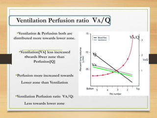 Ventilation Perfusion ratio VA/Q
•Ventilation & Perfusion both are
distributed more towards lower zone.
•Ventilation[VA] less increased
t0wards l0wer zone than
Perfusion[Q]
•Perfusion more increased towards
Lower zone than Ventilation
•Ventilation Perfusion ratio VA/Q:
Less towards lower zone
VA/Q
VA
Q
 