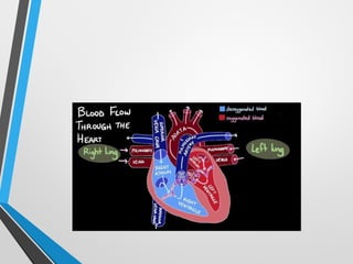 Pulmonary_Circulation and coronary circulation (001).pptx