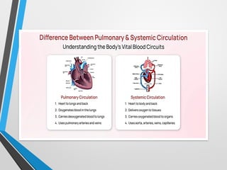 Pulmonary_Circulation and coronary circulation (001).pptx