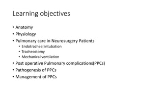 Learning objectives
• Anatomy
• Physiology
• Pulmonary care in Neurosurgery Patients
• Endotracheal intubation
• Tracheostomy
• Mechanical ventilation
• Post operative Pulmonary complications(PPCs)
• Pathogenesis of PPCs
• Management of PPCs
 