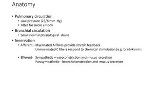 Anatomy
• Pulmonary circulation
• Low pressure (25/8 mm Hg)
• Filter for micro emboli
• Bronchial circulation
• Small normal physiological shunt
• Innervation
• Afferent - Myelinated A fibres provide stretch feedback
Unmyelinated C fibers respond to chemical stimulation (e.g. bradykinnin)
• Efferent- Sympathetic – vasoconstriction and mucus secretion
Parasympathetic-- bronchoconstriction and mucus secretion
• Afferent
 