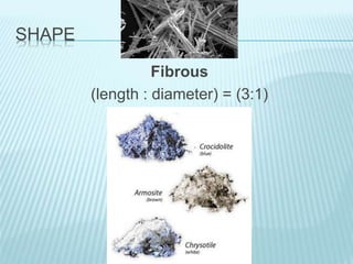 SHAPE
Fibrous
(length : diameter) = (3:1)
 