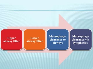 Upper
airway filter
Lower
airway filter
Macrophage
clearance to
airways
Macrophage
clearance via
lymphatics
 