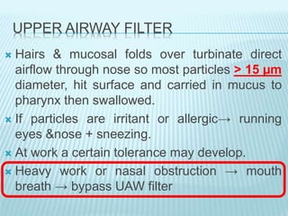UPPER AIRWAY FILTER
 Hairs & mucosal folds over turbinate direct
airflow through nose so most particles > 15 µm
diameter, hit surface and carried in mucus to
pharynx then swallowed.
 If particles are irritant or allergic→ running
eyes &nose + sneezing.
 At work a certain tolerance may develop.
 Heavy work or nasal obstruction → mouth
breath → bypass UAW filter
 