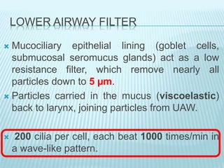 LOWER AIRWAY FILTER
 Mucociliary epithelial lining (goblet cells,
submucosal seromucus glands) act as a low
resistance filter, which remove nearly all
particles down to 5 µm.
 Particles carried in the mucus (viscoelastic)
back to larynx, joining particles from UAW.
 200 cilia per cell, each beat 1000 times/min in
a wave-like pattern.
 