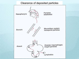 Clearance of deposited particles
 