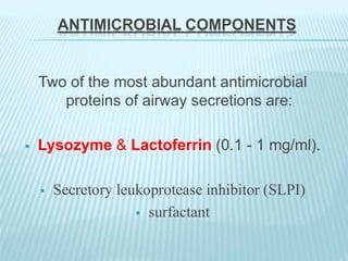 ANTIMICROBIAL COMPONENTS
Two of the most abundant antimicrobial
proteins of airway secretions are:
 Lysozyme & Lactoferrin (0.1 - 1 mg/ml).
 Secretory leukoprotease inhibitor (SLPI)
 surfactant
 