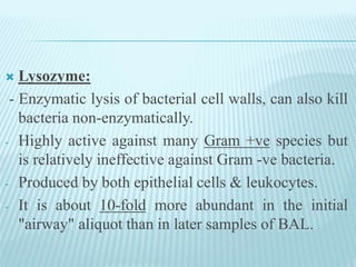  Lysozyme:
- Enzymatic lysis of bacterial cell walls, can also kill
bacteria non-enzymatically.
- Highly active against many Gram +ve species but
is relatively ineffective against Gram -ve bacteria.
- Produced by both epithelial cells & leukocytes.
- It is about 10-fold more abundant in the initial
"airway" aliquot than in later samples of BAL.
 