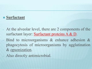  Surfactant
- At the alveolar level, there are 2 components of the
surfactant layer: Surfactant proteins A & D.
- Bind to microorganisms & enhance adhesion &
phagocytosis of microorganisms by agglutination
& opsonization.
- Also directly antimicrobial.
 