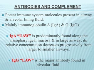 ANTIBODIES AND COMPLEMENT
 Potent immune system molecules present in airway
& alveolar lining fluid.
 Mainly immunoglobulin A (IgA) & G (IgG).
 IgA “UAW” is predominantly found along the
nasopharyngeal mucosa & in large airway; its
relative concentration decreases progressively from
larger to smaller airways.
 IgG “LAW” is the major antibody found in
alveolar fluid.
 