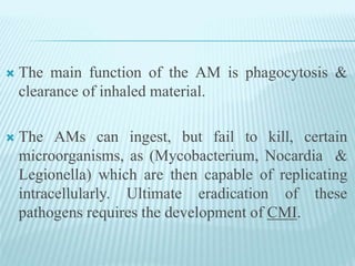  The main function of the AM is phagocytosis &
clearance of inhaled material.
 The AMs can ingest, but fail to kill, certain
microorganisms, as (Mycobacterium, Nocardia &
Legionella) which are then capable of replicating
intracellularly. Ultimate eradication of these
pathogens requires the development of CMI.
 