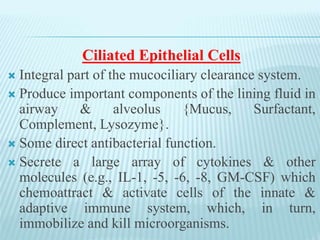 Ciliated Epithelial Cells
 Integral part of the mucociliary clearance system.
 Produce important components of the lining fluid in
airway & alveolus {Mucus, Surfactant,
Complement, Lysozyme}.
 Some direct antibacterial function.
 Secrete a large array of cytokines & other
molecules (e.g., IL-1, -5, -6, -8, GM-CSF) which
chemoattract & activate cells of the innate &
adaptive immune system, which, in turn,
immobilize and kill microorganisms.
 