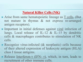 Natural Killer Cells (NK)
 Arise from same hematopoietic lineage as T cells, (But
not mature in thymus & not express re-arranged
antigen receptors).
 Important in initial defenses against viral infection of
lungs. Local release of IL-12 & IL-15 by dendritic
cells & macrophages contributes to stimulation of NK
cells.
 Recognize virus-infected (& neoplastic) cells because
of their altered expression of leukocyte antigen (HLA)
class I tissue antigens.
 Release Interferon-γ (IFN- γ), which, in turn, leads to
recruitment of other immune cells.
 
