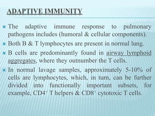 ADAPTIVE IMMUNITY
 The adaptive immune response to pulmonary
pathogens includes (humoral & cellular components).
 Both B & T lymphocytes are present in normal lung.
 B cells are predominantly found in airway lymphoid
aggregates, where they outnumber the T cells.
 In normal lavage samples, approximately 5-10% of
cells are lymphocytes, which, in turn, can be further
divided into functionally important subsets, for
example, CD4+ T helpers & CD8+ cytotoxic T cells.
 